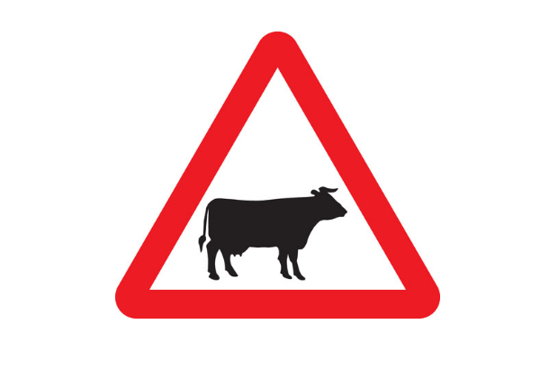 Cattle warning sign